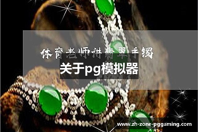 关于pg模拟器